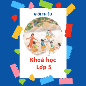 Giới thiệu khoá học Lớp 5